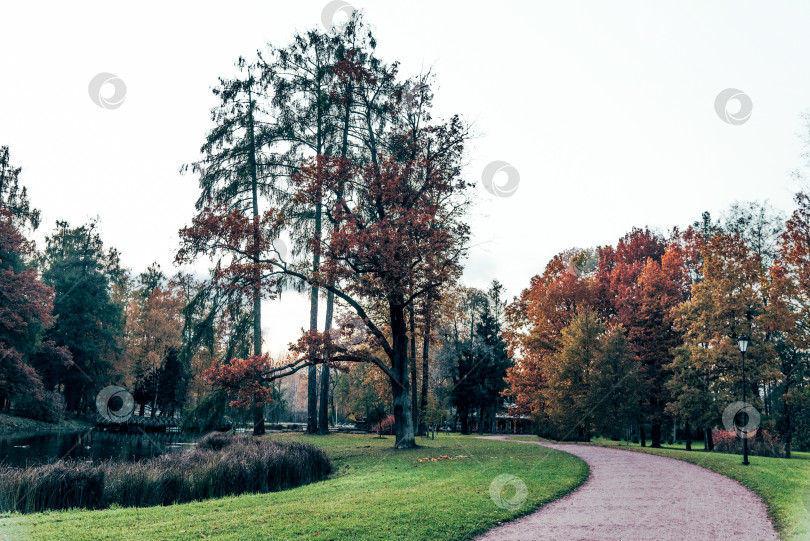 Скачать Панорамный пейзаж Гатчинского дворцового парка с деревьями, травой, газоном и дорожками фотосток Ozero