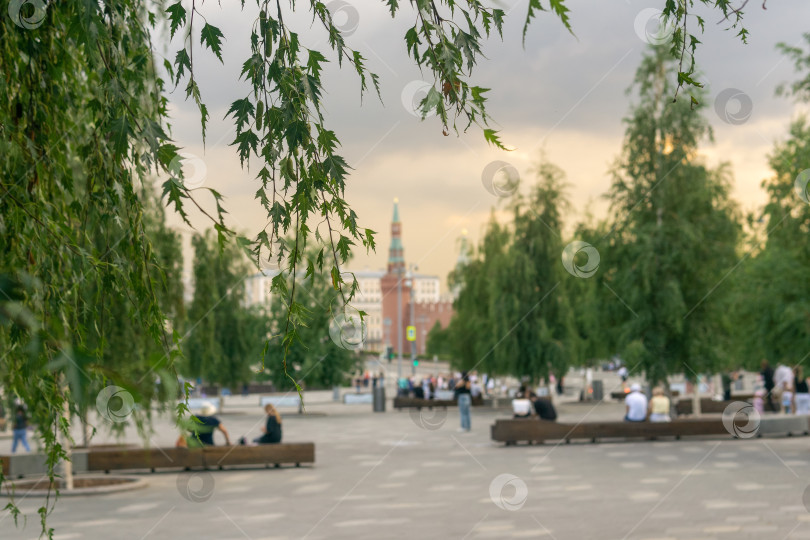 Скачать размытый вид на Московский Кремль из парка Зарядье, сосредоточьтесь на листьях ближайшего дерева фотосток Ozero