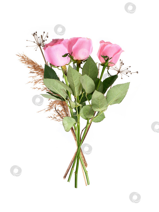 Скачать Роскошный букет из нежно-розовых роз, выделенных на белом фоне, готов к оформлению фотосток Ozero