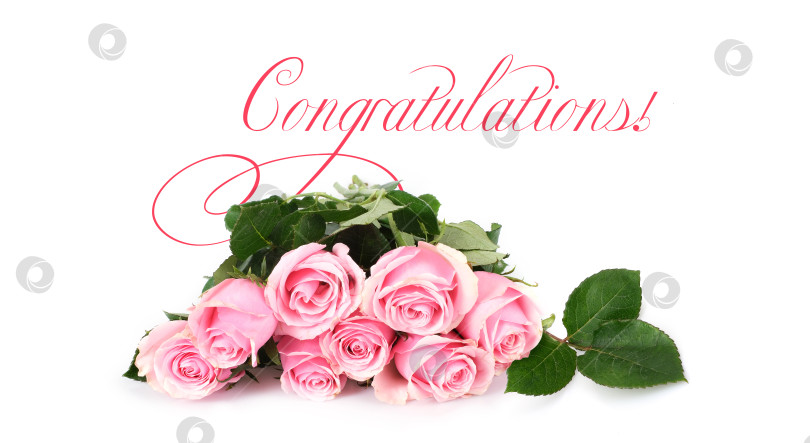 Скачать Плакат "Поздравляем!" Букет розовых роз с элегантным рисунком, выделенный на белом фоне, готов к вырезанию фотосток Ozero