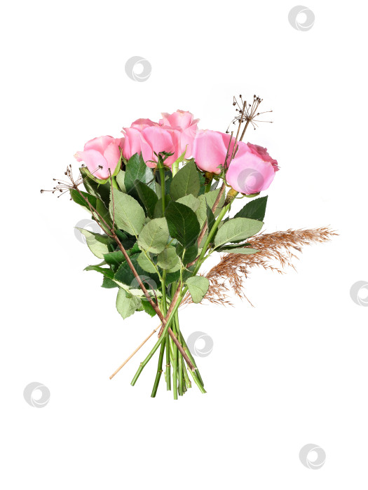 Скачать Роскошный букет из нежно-розовых роз, выделяющихся на белом фоне, готов к оформлению фотосток Ozero