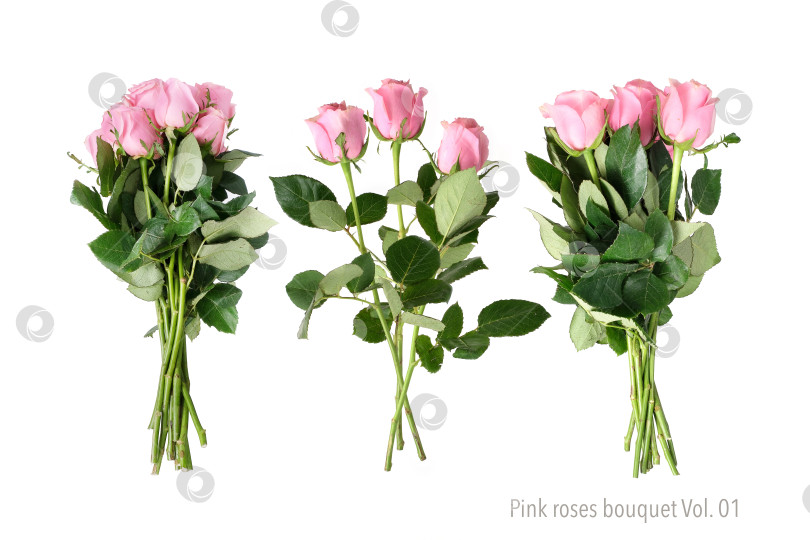 Скачать Элегантный букет розовых роз, выделяющихся на белом фоне, вырез готов. Том 01 фотосток Ozero