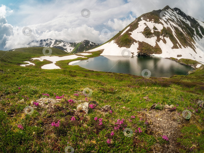 Скачать Красивая горная долина, утопающая в цветах фотосток Ozero