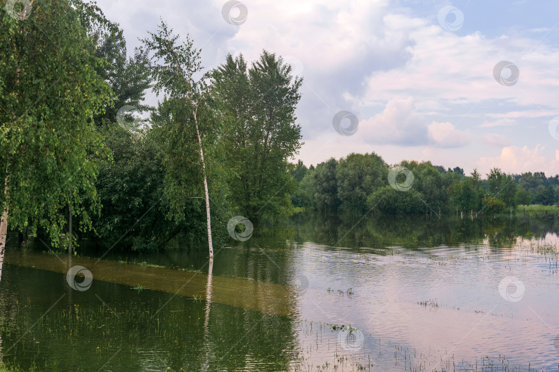 Скачать парк затопило после сильных дождей, в воде видна дорожка фотосток Ozero