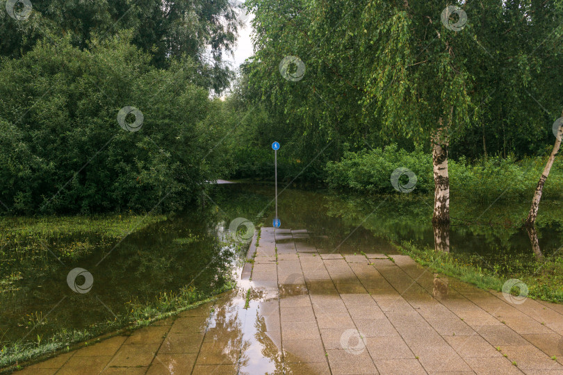 Скачать тротуар в парке уходит под воду, наводнение в городском парке фотосток Ozero