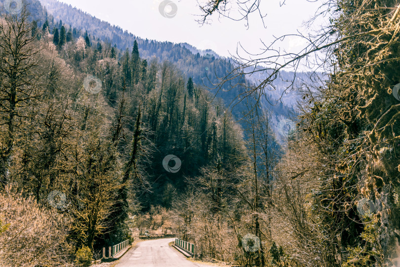 Скачать Живописная дорога среди гор Абхазии, поездка на автомобильном транспорте по проселочной дороге фотосток Ozero