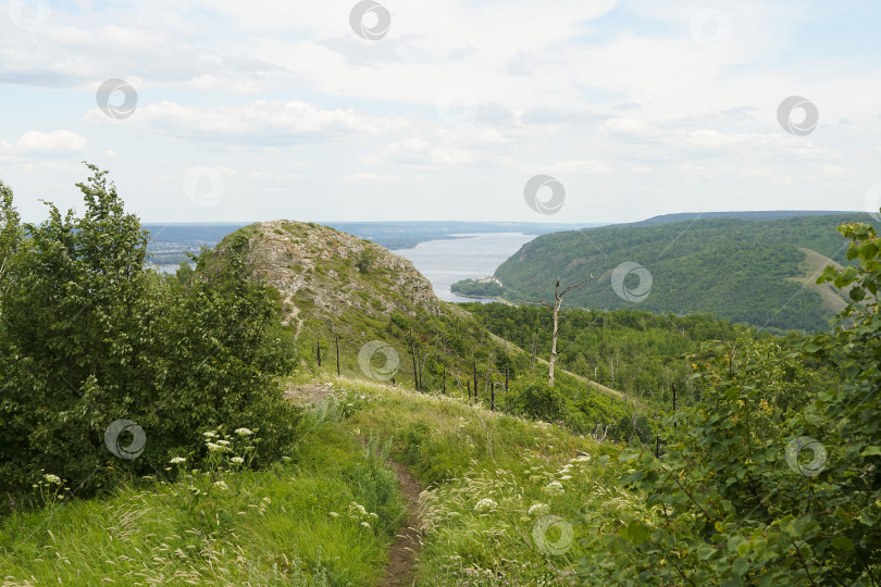 Скачать Гора Шишка в национальном парке "Самарская Лука" фотосток Ozero