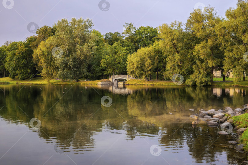 Скачать Прогулки по выходным в вечернем парке. фотосток Ozero