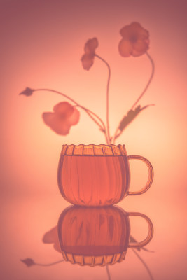 [object Object] undefined