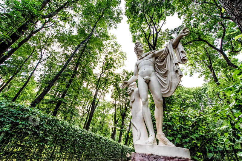 Скачать Санкт-Петербург, Россия, 25 июля 2017 года, Мраморная статуя человека в Летнем саду фотосток Ozero