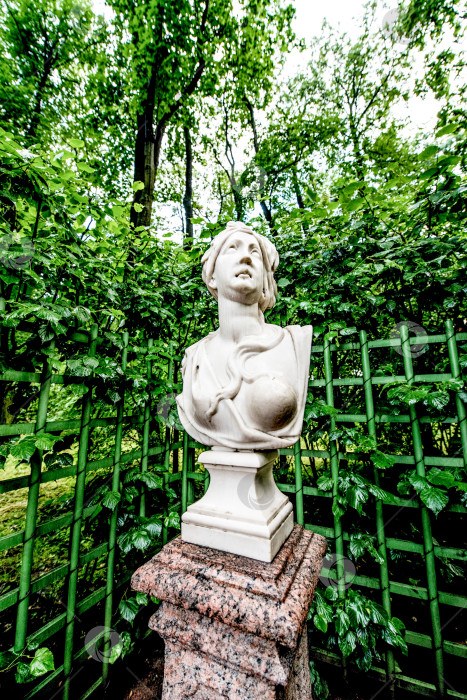 Скачать Санкт-Петербург, Россия, 25 июля 2017 года, Мраморная статуя женщины в Летнем саду фотосток Ozero