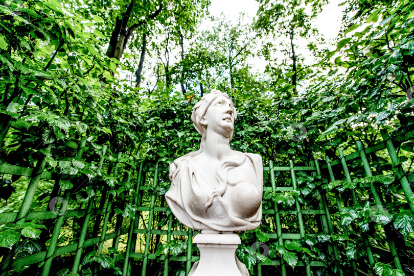 Скачать Санкт-Петербург, Россия, 25 июля 2017 года, Мраморная статуя женщины в Летнем саду фотосток Ozero