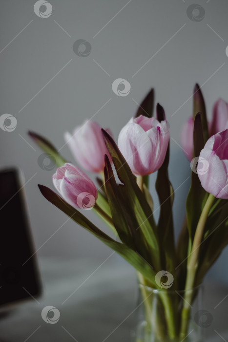 Скачать Весенний букет минимализм фотосток Ozero