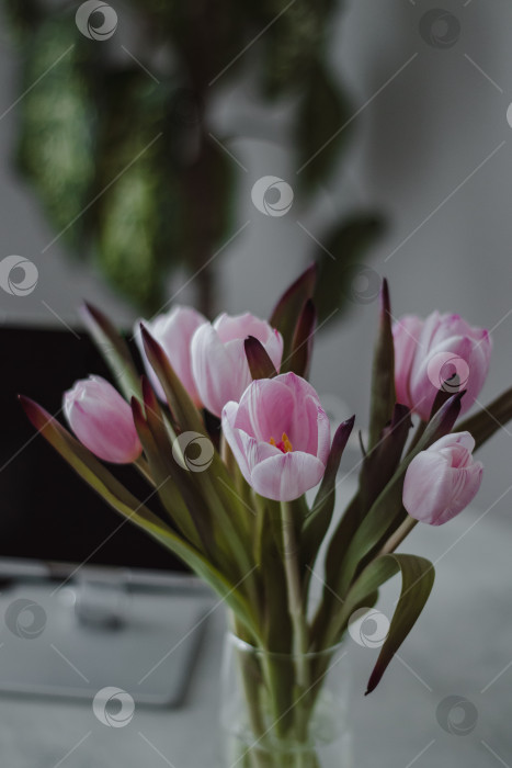 Скачать Весенний букет минимализм фотосток Ozero
