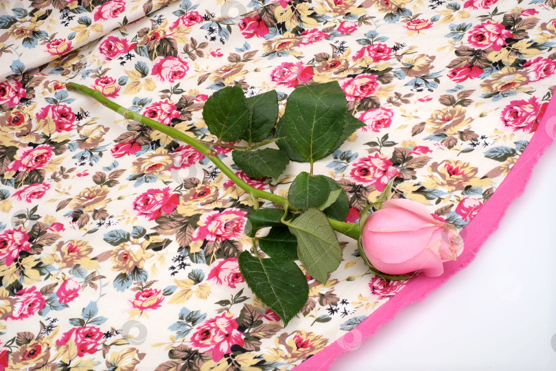 Скачать Одинокая розовая роза на цветочной ткани, романтическая натюрмортная композиция фотосток Ozero