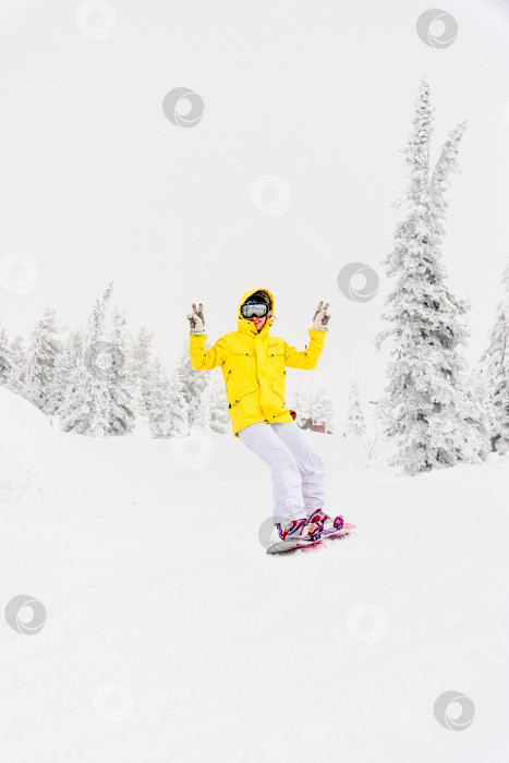 Скачать Шерегеш, Россия, 6 января 2017 года, сноубордист-лыжник, скользящий по заснеженному склону фотосток Ozero