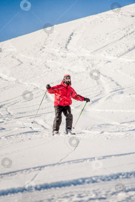 Скачать Шерегеш, Россия, 7 января 2017 года, сноубордист-лыжник, скользящий по заснеженному склону фотосток Ozero