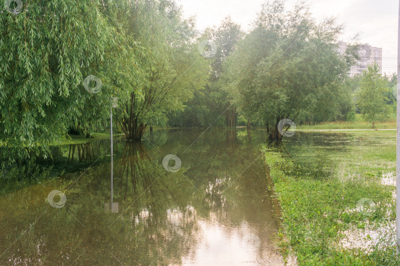 Скачать высокий уровень воды в городском парке после проливных дождей фотосток Ozero