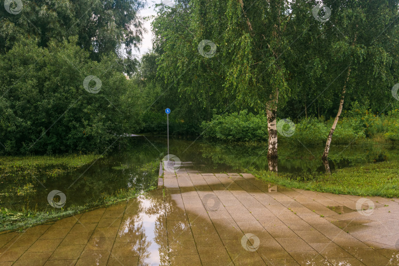 Скачать дорожка в парке уходит под воду, наводнение в городском парке фотосток Ozero