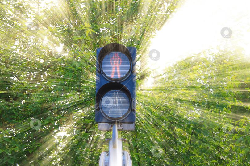 Скачать светофор на перекрестке фотосток Ozero