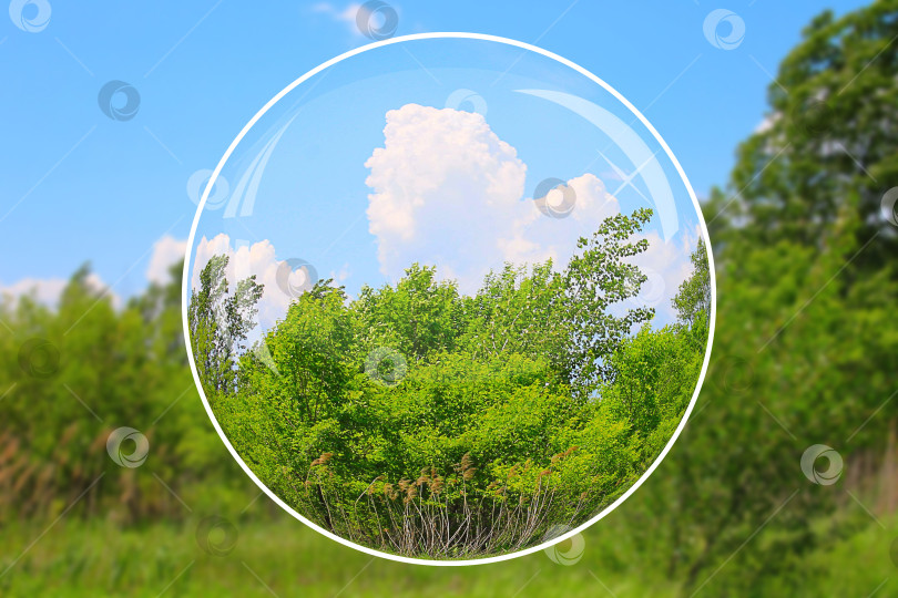 Скачать природа мира фотосток Ozero