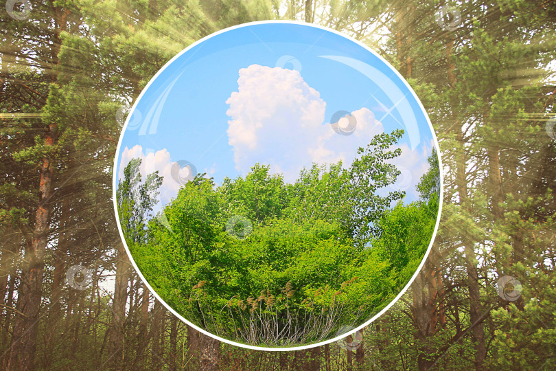 Скачать природа мира фотосток Ozero