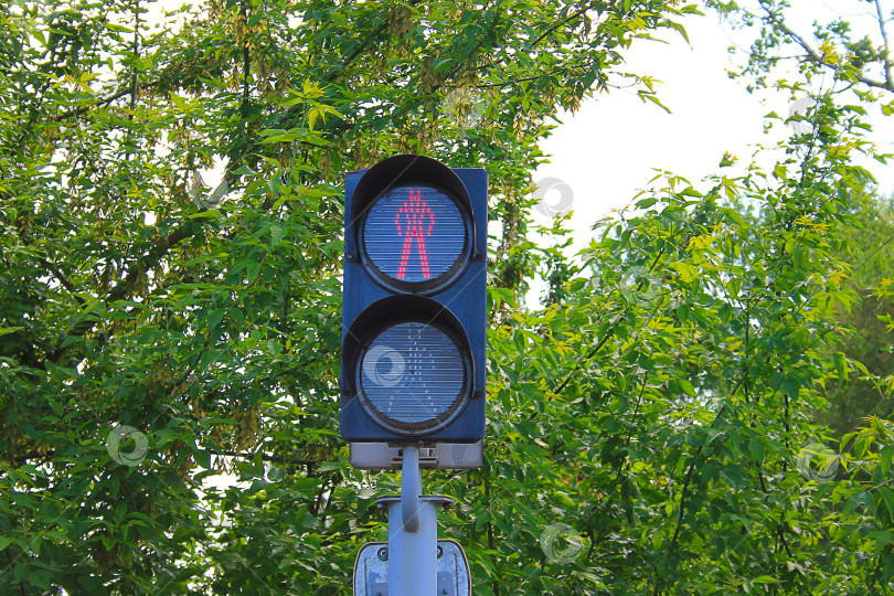 Скачать светофор на перекрестке фотосток Ozero
