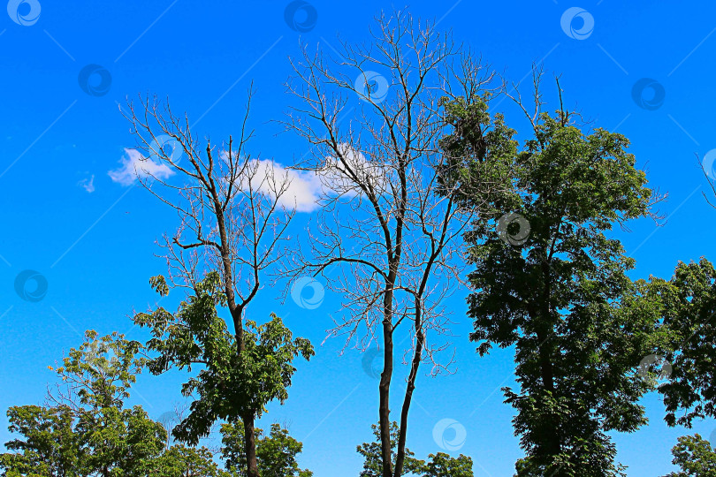 Скачать природа мира фотосток Ozero