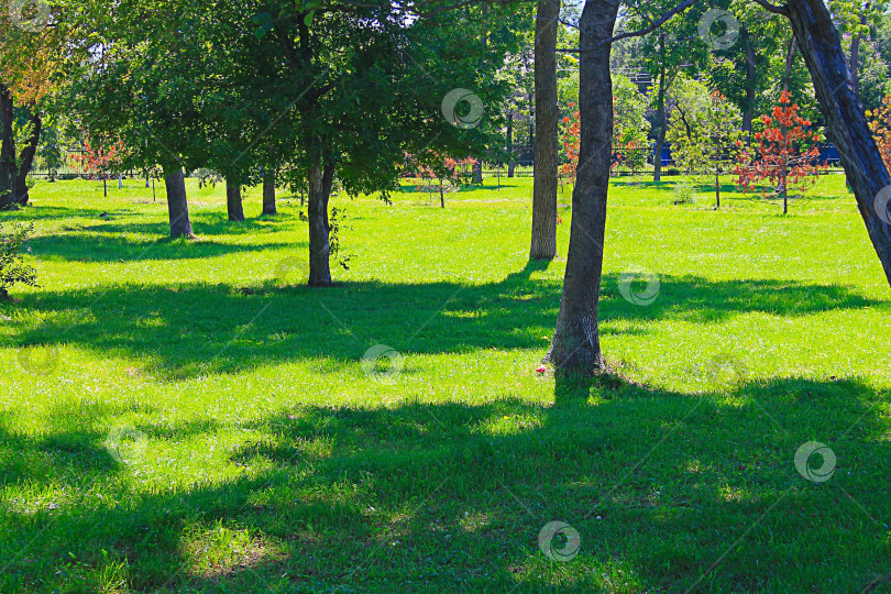 Скачать природа мира фотосток Ozero