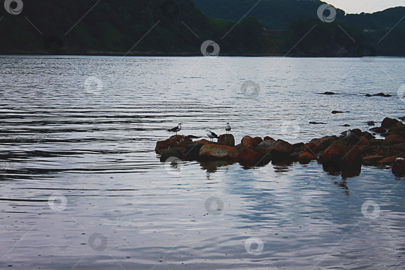 Скачать морское побережье фотосток Ozero