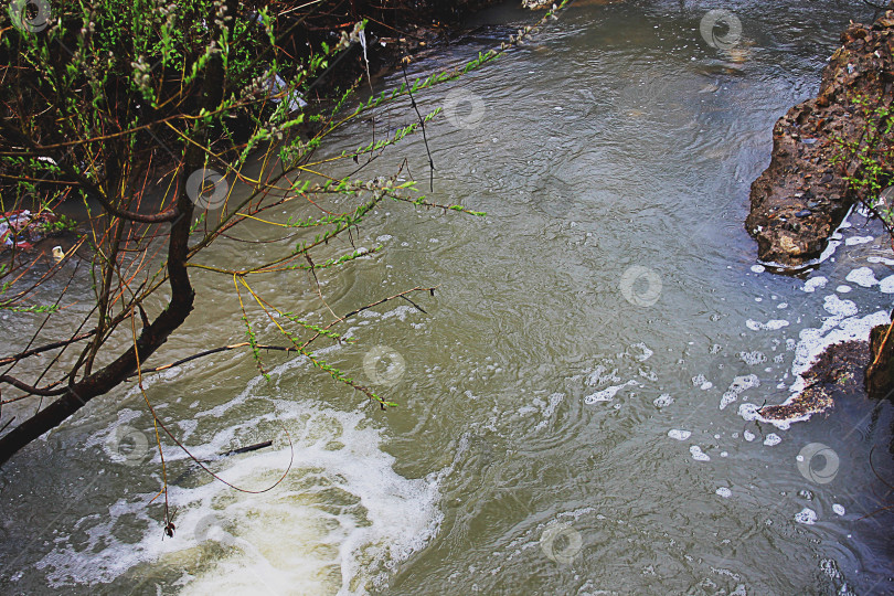 Скачать Залив фотосток Ozero