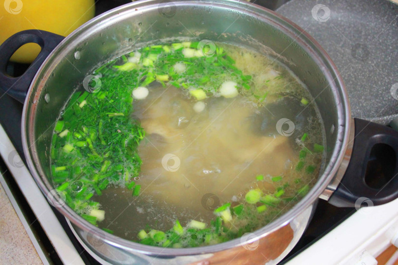 Скачать Суп варится на плите фотосток Ozero