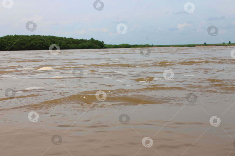 Скачать природа мира фотосток Ozero