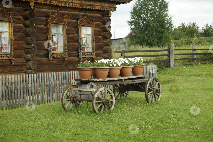 Скачать Тележка с цветами фотосток Ozero