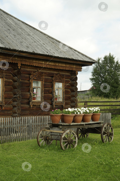 Скачать Тележка с цветами фотосток Ozero