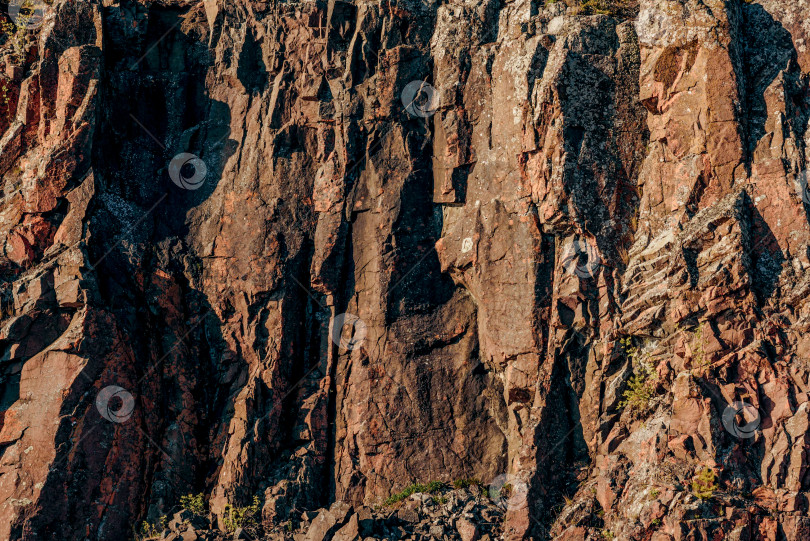 Скачать Текстура натурального камня с трещинами, растительностью и грязью, текстурный фон фотосток Ozero
