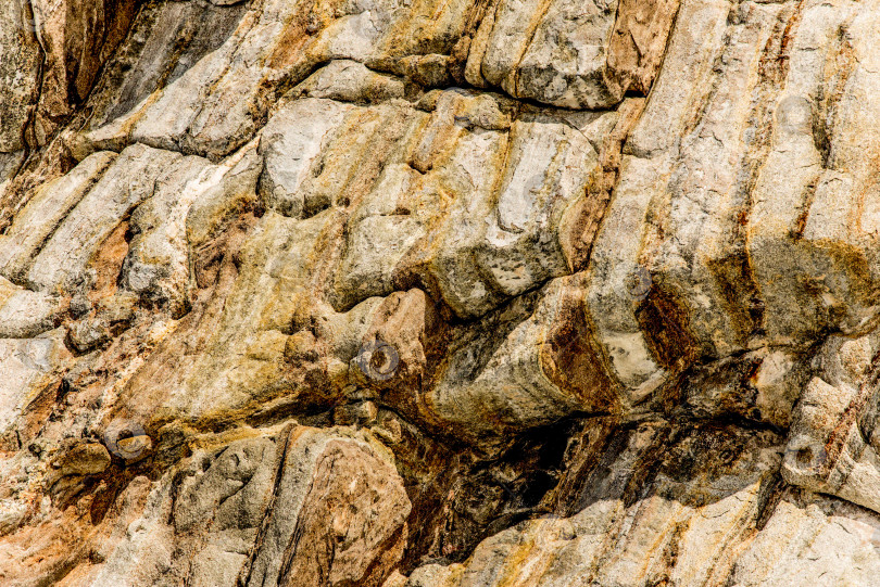 Скачать Текстура натурального камня с трещинами, растительностью и грязью, текстурный фон фотосток Ozero