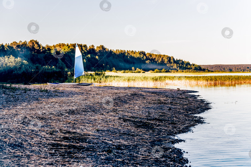 Скачать Байдарка-каноэ с парусом пришвартована на берегу Ладожского озера в Карелии, Россия фотосток Ozero