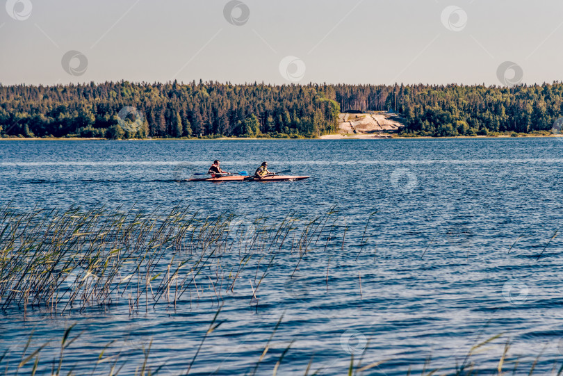 Скачать Карелия, Россия, 13 июня 2020 года, туристы плывут по Ладожскому озеру на каноэ-байдарках фотосток Ozero