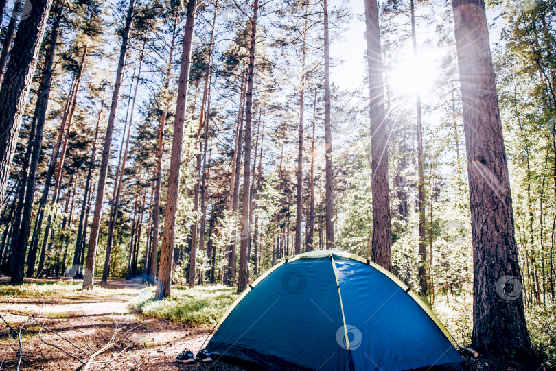 Скачать Туристический палаточный парк, лагерь путешественника, кемпинг на открытом воздухе у костра в летнем лесу фотосток Ozero
