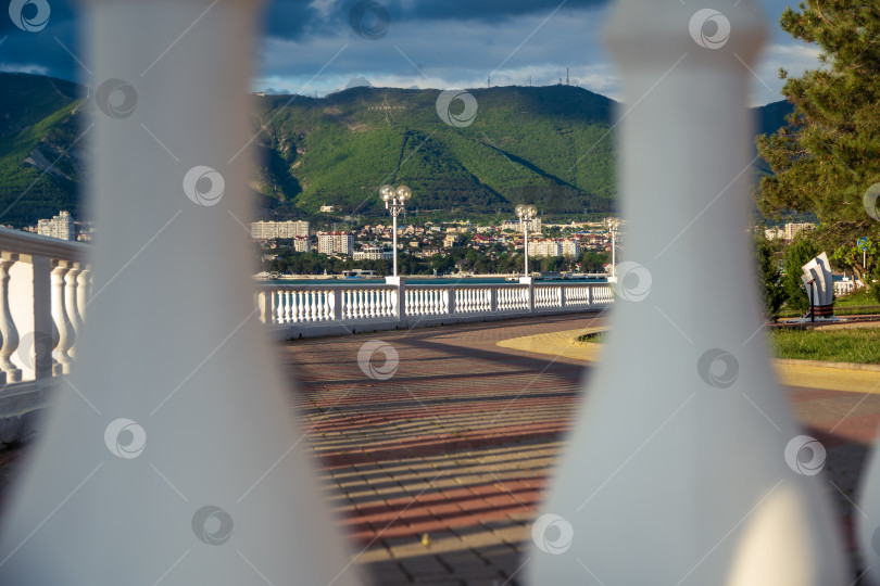Скачать Город Геленджик. Курортная набережная с балюстрадой и фонарями. Пицундская сосна. На заднем плане Геленджикская бухта и Кавказские горы. фотосток Ozero