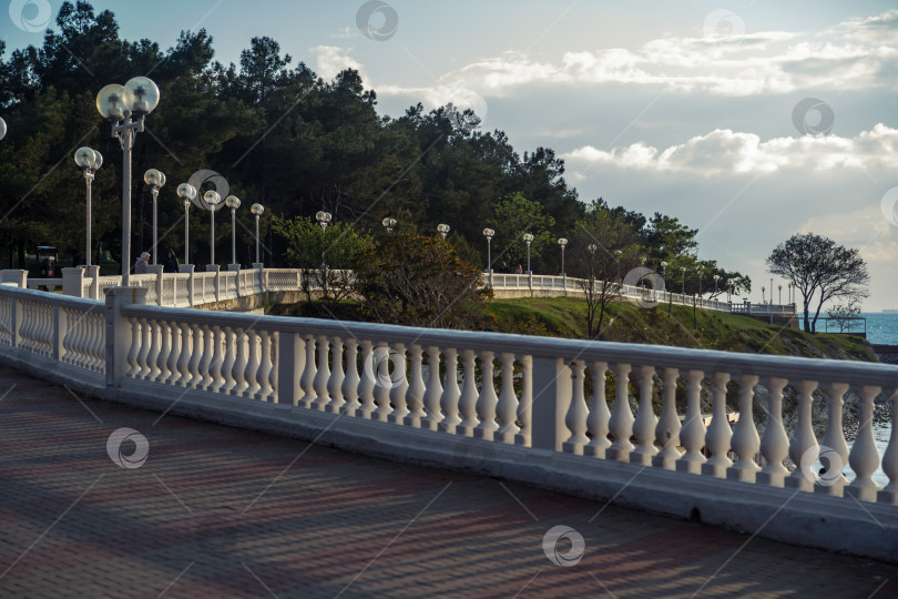 Скачать Город Геленджик. Курортная набережная с балюстрадой и фонарями. Пицундская сосна. На заднем плане Геленджикская бухта и Кавказские горы. фотосток Ozero