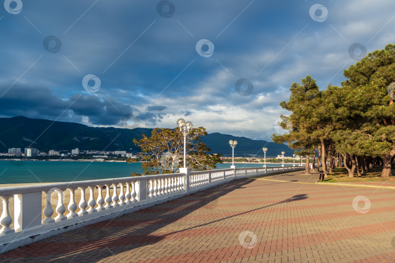 Скачать Город Геленджик. Курортная набережная с балюстрадой и фонарями. Пицундская сосна. На заднем плане Геленджикская бухта и Кавказские горы. фотосток Ozero