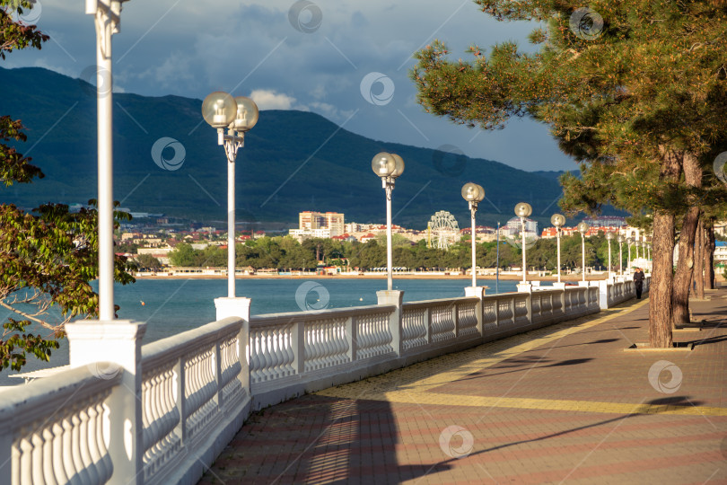 Скачать Город Геленджик. Курортная набережная с балюстрадой и фонарями. Пицундская сосна. На заднем плане Геленджикская бухта и Кавказские горы. фотосток Ozero