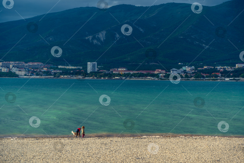 Скачать Курорт Геленджик. Закат. Мужчина и женщина с собакой прогуливаются по пляжу Геленджикской бухты на фоне Кавказских гор. фотосток Ozero