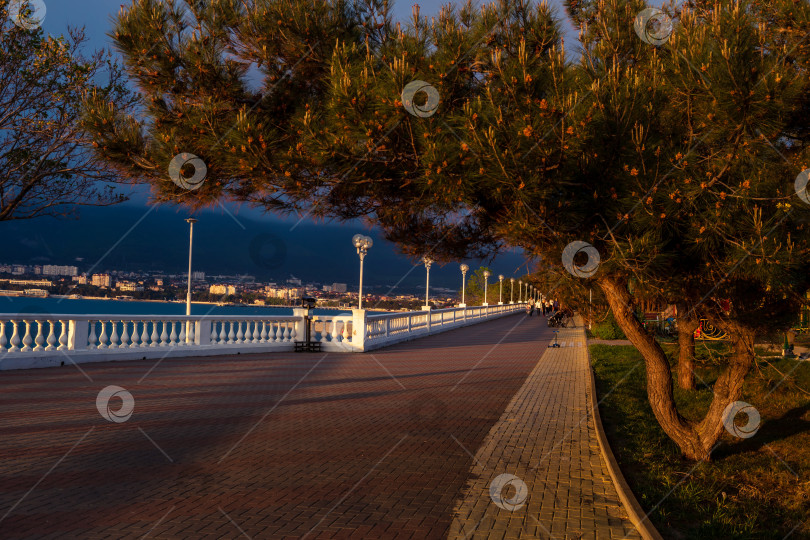 Скачать Курорт Геленджик. Набережная на закате. Балюстрада и набережная в косых лучах заходящего солнца. Кавказские горы на заднем плане. фотосток Ozero