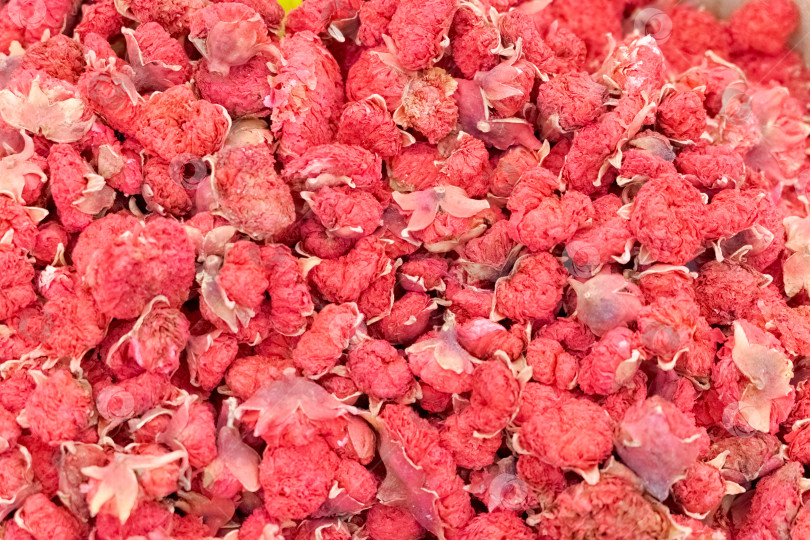 Скачать Горка красных ягод фотосток Ozero