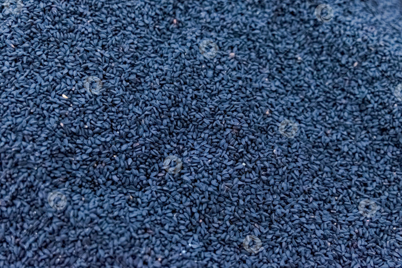 Скачать Горстка семян черного кунжута фотосток Ozero