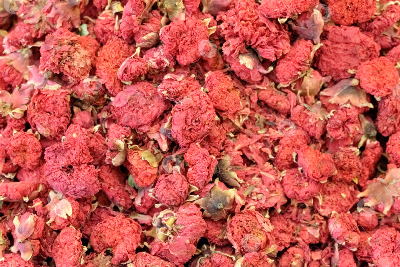 Скачать По земле разбросан букет красных цветов фотосток Ozero