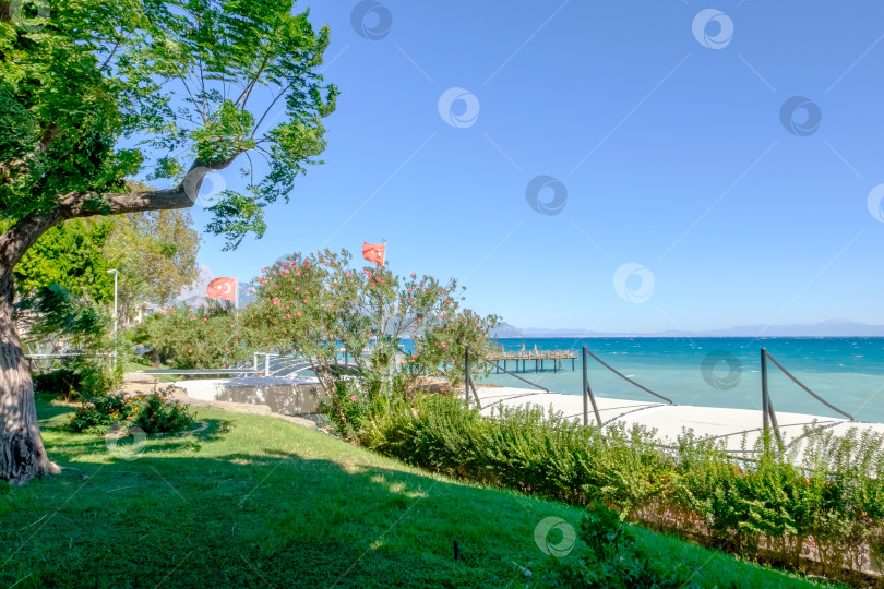 Скачать Пляж с забором и деревом фотосток Ozero